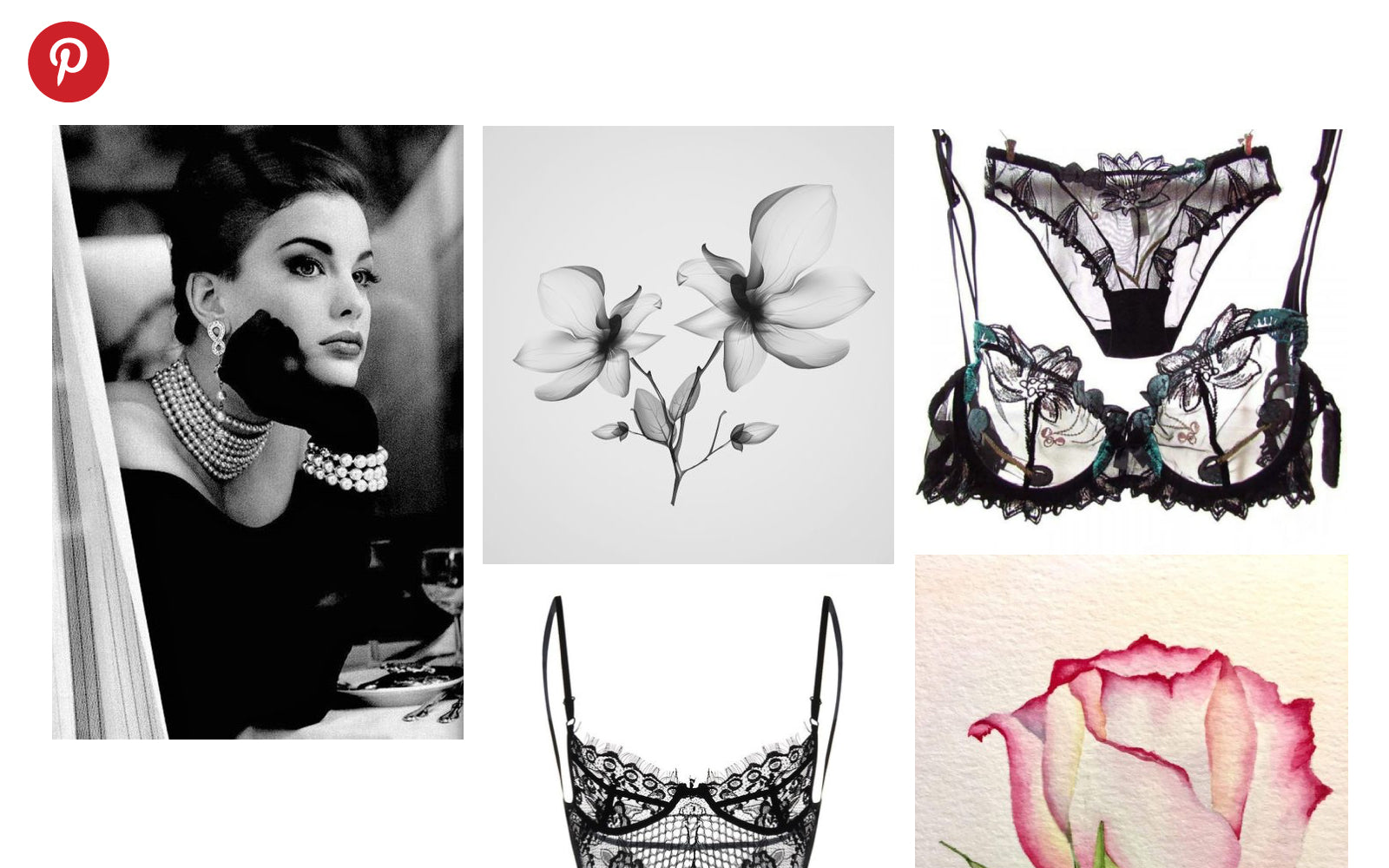 Pinterest Lavinia Lingerie