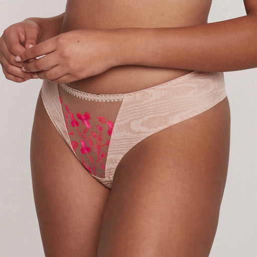 Lavinia Lingerie