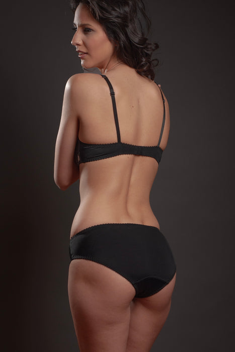 Sheer Mesh Lace Trim Bikini Panty Lavinia Silver Feathers