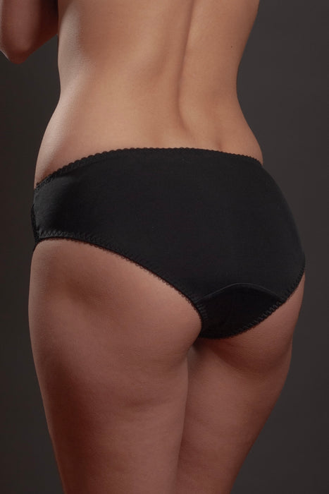 Sheer Mesh Lace Trim Bikini Panty Lavinia Silver Feathers