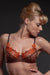 Lavinia Lingerie