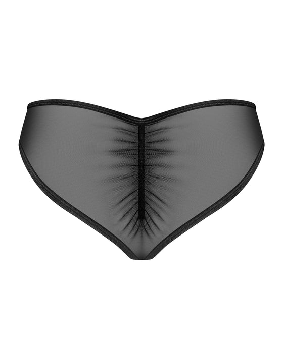 Sheer Mesh Lace Bikini Panty Obsessive Donarella