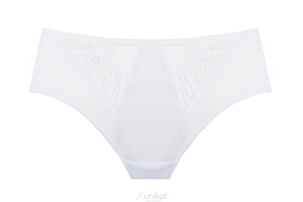 Sheer Mesh Low Rise Bikini Panty Virginia