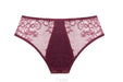 Sheer Lace Bikini Panty Burgundy Lingerie