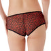 Lavinia Lingerie