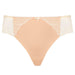 Sheer Mesh Tulle Embroidered Brief Panty Anabelle Nude Lingerie