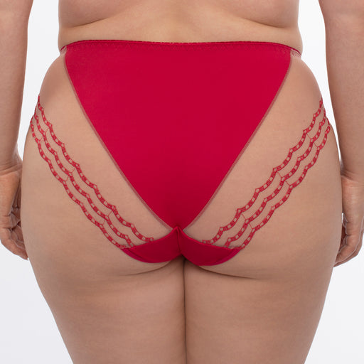 Plus Size Sheer Brief Panty Red Underwear B400 back view