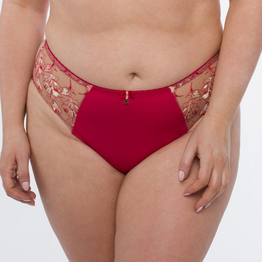 Sheer Mesh Tulle Embroidered Bikini Panty Daniela Red Lingerie B400