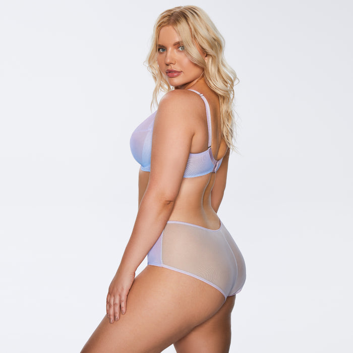 Plus Size Sheer Mesh Bra & Transparent Brazilian Panty Blue Lingerie Set Blue Lingerie back view