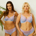 Pretty Sheer Mesh Bra & Transparent Brazilian Panty Blue Lingerie Set Blue Lingerie