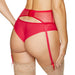 Sheer Mesh High Waist Garter Belt Gorteks Euphoria back view