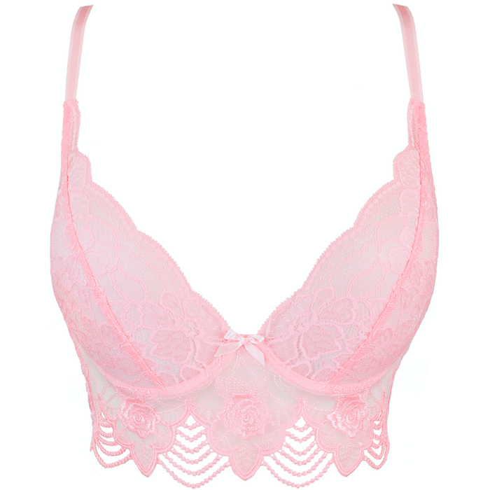 Sheer Longline Plunge Bra Pink Intimates