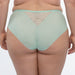Sheer Mesh Brief Panty Green Underwear back view