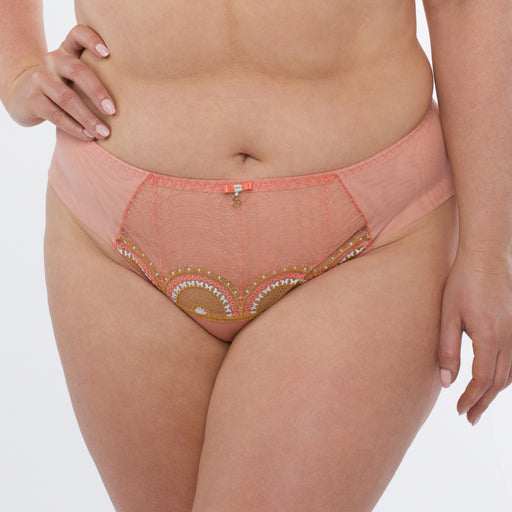 Sheer Mesh Tulle Bikini Panty Lea Pink Lingerie