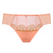 Sheer Mesh Tulle Bikini Panty Lea Pink Intimates