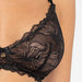 Lavinia Lingerie