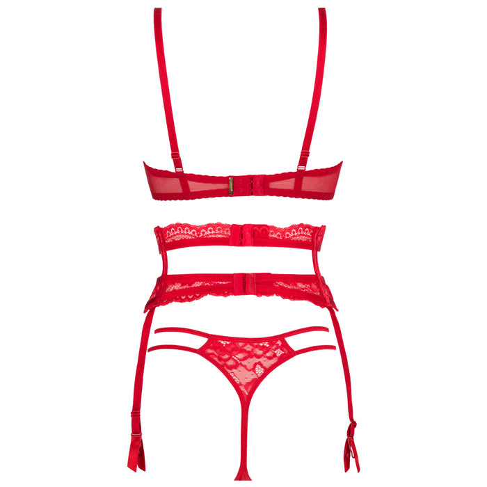 Sexy Sheer Mesh Lace Garter Belt Axami Intense