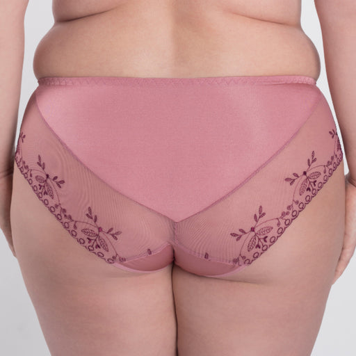 Sheer Mesh Tulle Embroidered Brief Panty Viola back view