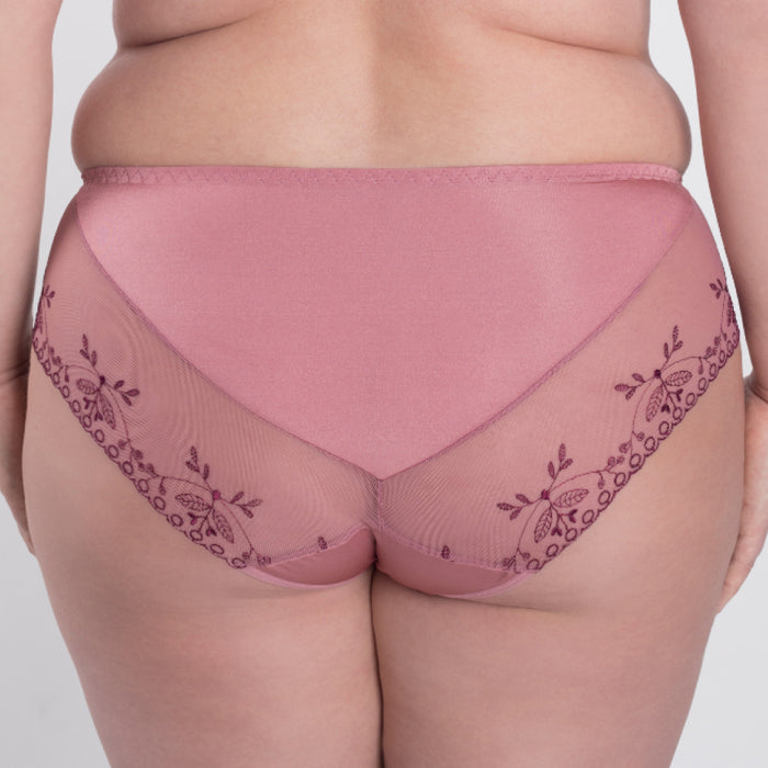 Sheer Mesh Tulle Embroidered Brief Panty Viola back view