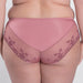 Sheer Mesh Tulle Embroidered Brief Panty Viola back view