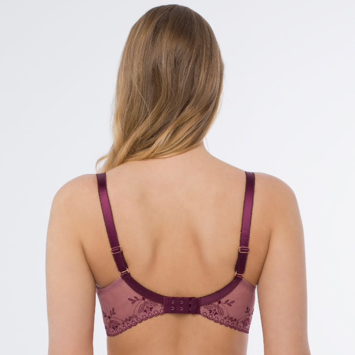 Sheer Mesh Full Cup Bra back view