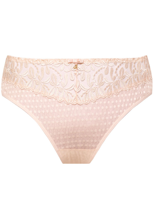 Sheer Mesh Tulle Embroidered Bikini Panty Donna Pink Lingerie