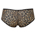 Lavinia Lingerie