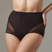 Semi Sheer High Waist Brief Panty Lavinia Mia Lavinia Lingerie High Waist Panty
