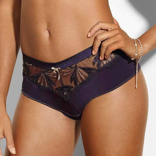 Sawren Intimates Cheeky Panty Sexy Sheer Mesh Cheeky Hipster Panty Sawren Good Girl M / Purple - Lavinia Lingerie